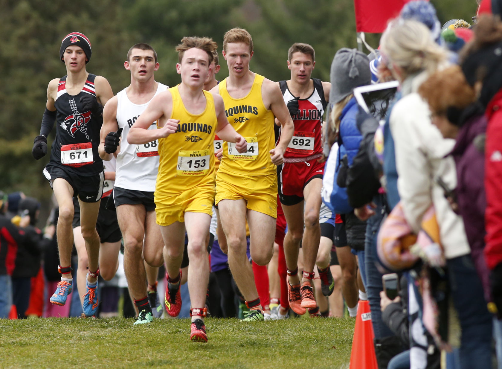 WIAA cross country Aquinas